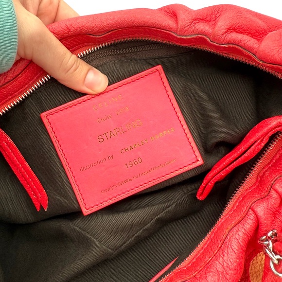 Celine Limited Edition Starling Charley Harper Hobo Bag - Picture 9 of 9